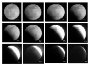 Click to view this Observation!