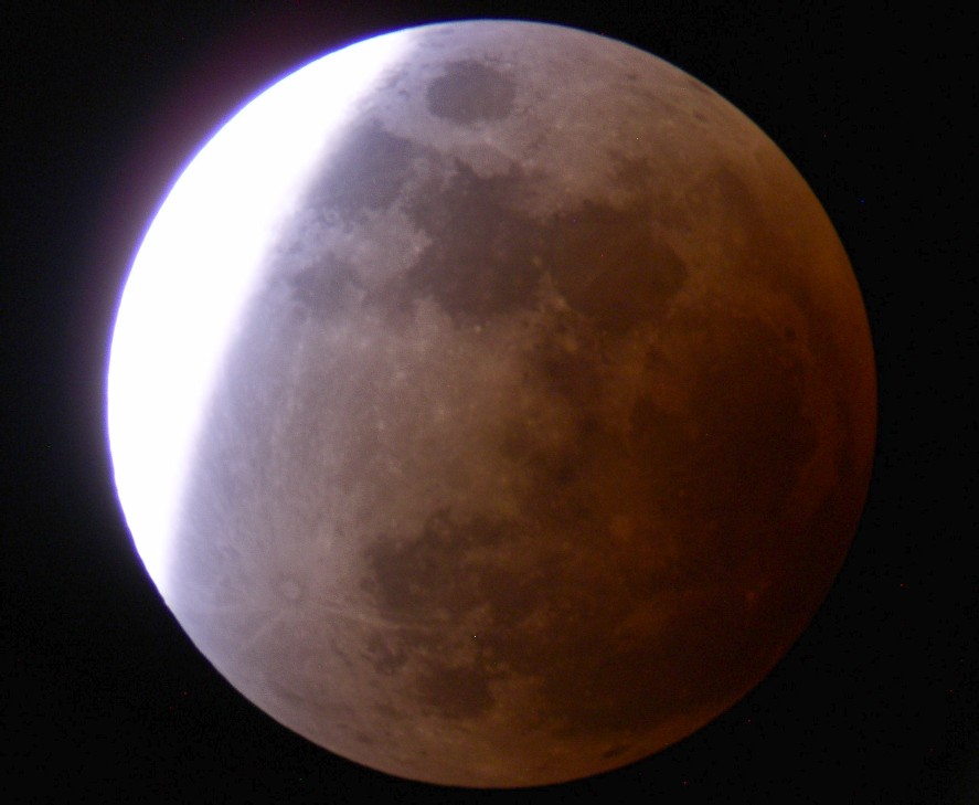 Click to view this Observation!