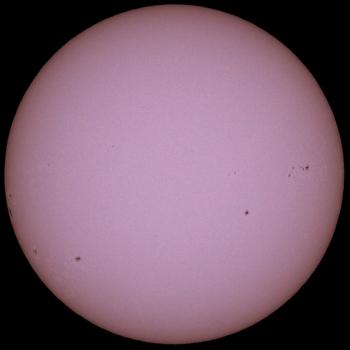 Click to view this Observation!