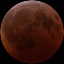 Click to view this Observation!