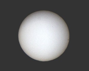 Click to view this Observation!